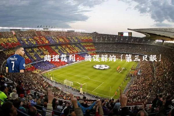 助理裁判:被误解的「第三只眼」